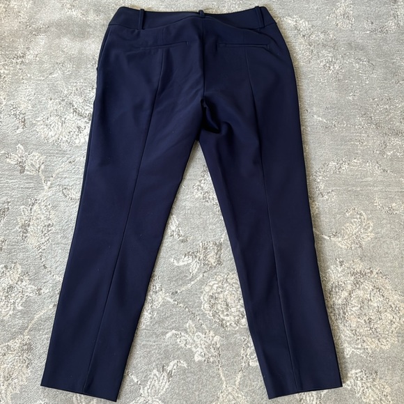 Ann Taylor Loft Skinny Ankle Pants in Curvy Fit (Size 4) - Picture 3 of 6